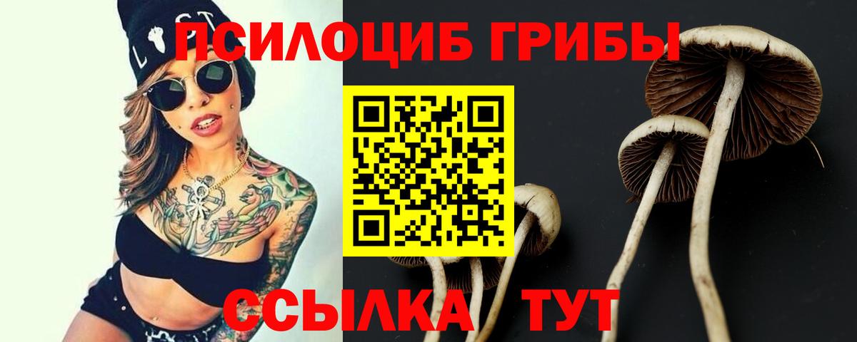 Галлюциногенные грибы MAGIC MUSHROOMS  Псилоцибиновые грибы мицелий  Вход с VPN  Костомукша 