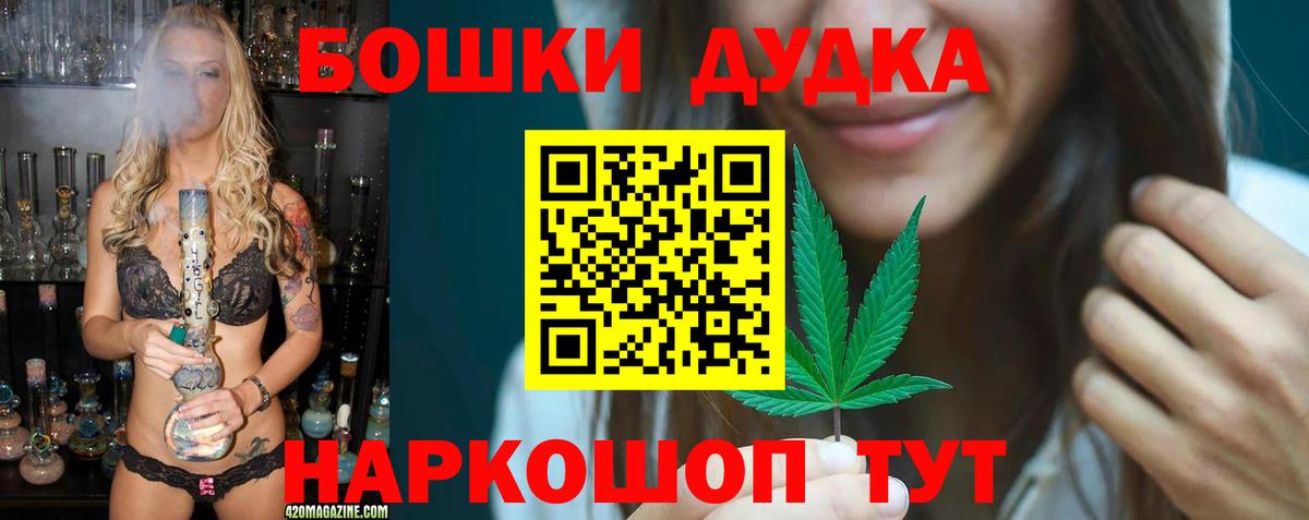 Бошки Шишки планчик Костомукша
